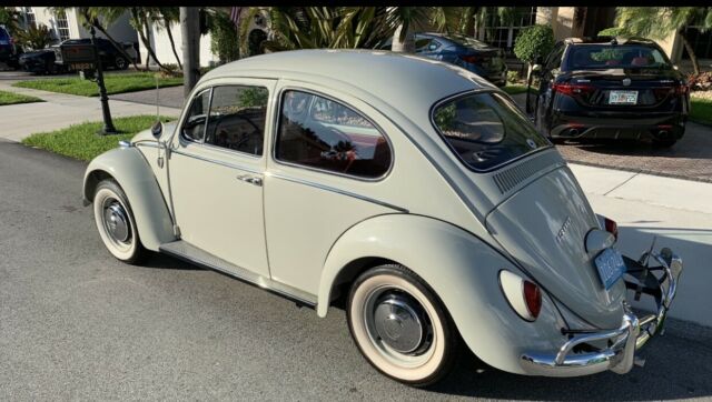 Volkswagen Beetle - Classic 1966 image number 2