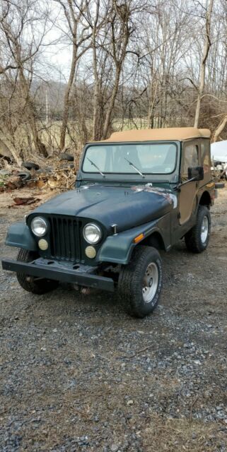 Jeep CJ 1979 image number 0