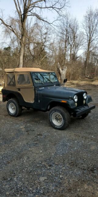 Jeep CJ 1979 image number 1