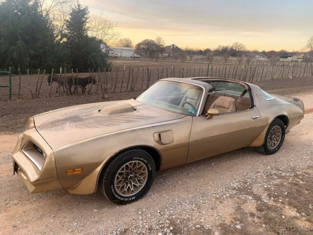 Pontiac Trans Am 1978 image number 15