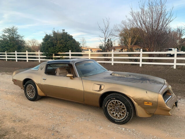 Pontiac Trans Am 1978 image number 16