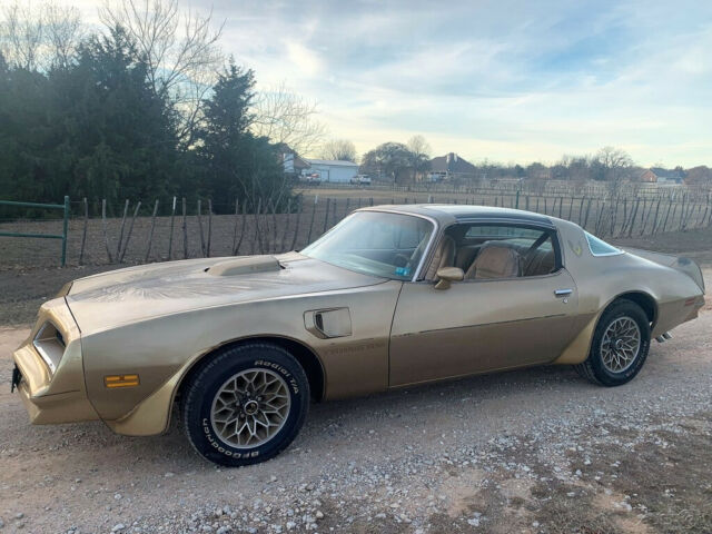 Pontiac Trans Am 1978 image number 17