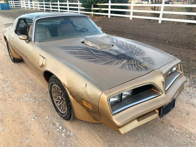 Pontiac Trans Am 1978 image number 18