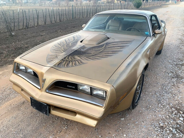 Pontiac Trans Am 1978 image number 19