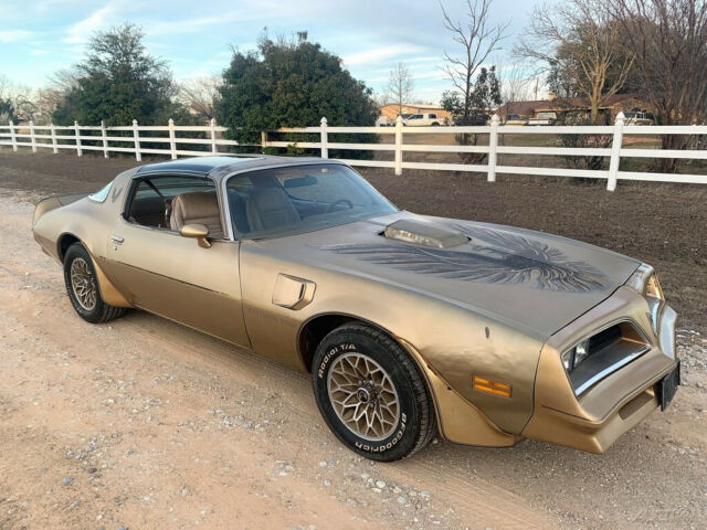 Pontiac Trans Am 1978 image number 2