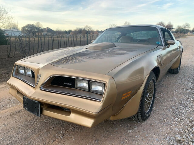 Pontiac Trans Am 1978 image number 21