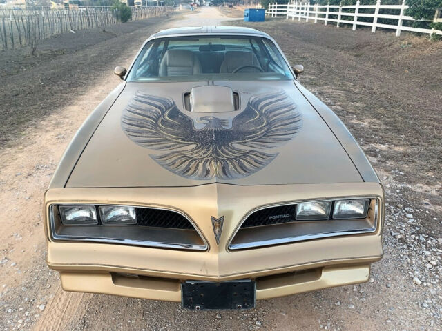 Pontiac Trans Am 1978 image number 22