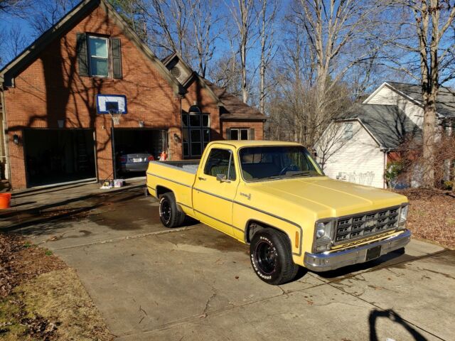 Chevrolet C-10 1979 image number 11