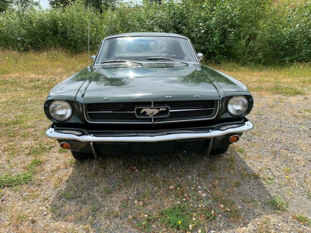 Ford Mustang 1965 image number 27