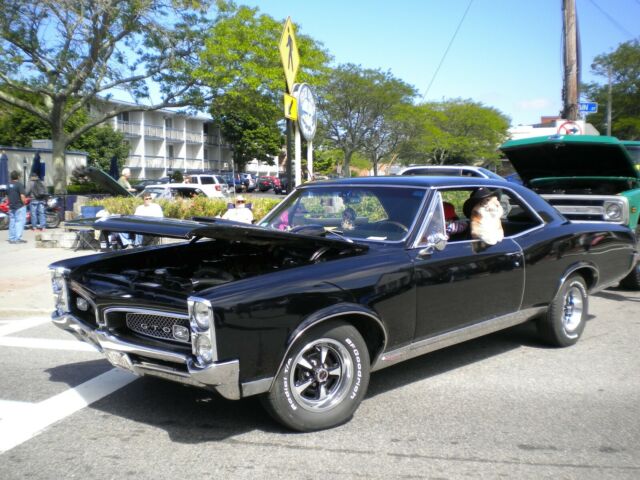 Pontiac GTO 1967 image number 16