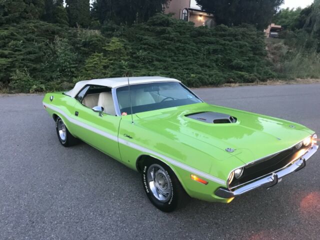 Dodge Challenger 1970 image number 0