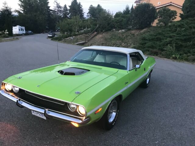 Dodge Challenger 1970 image number 25