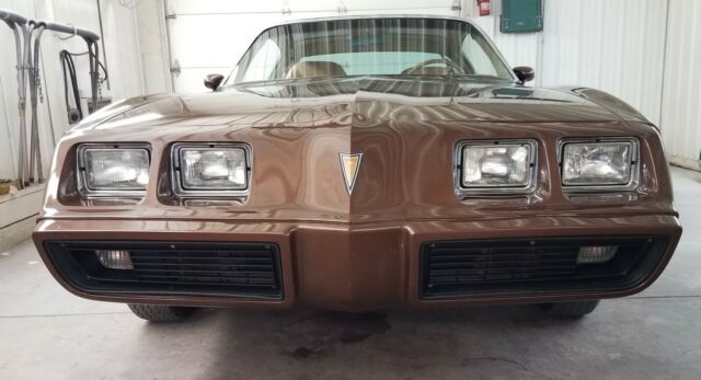 Pontiac Firebird 1979 image number 27