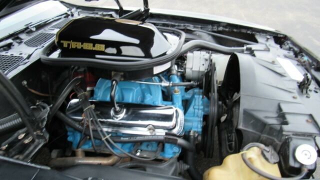 Pontiac Trans Am 1979 image number 20