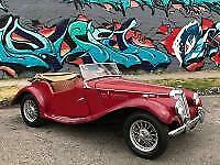 Arnolt-MG TF 1955 image number 1