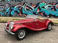 Arnolt-MG TF 1955 image number 3