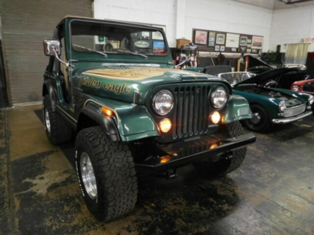 Jeep Wrangler 1979 image number 12