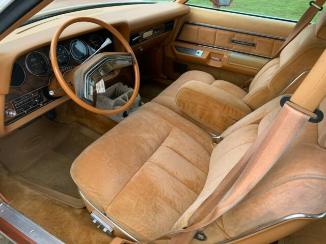 Ford Thunderbird 1978 image number 12