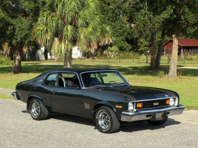 Chevrolet Nova 1974 image number 30