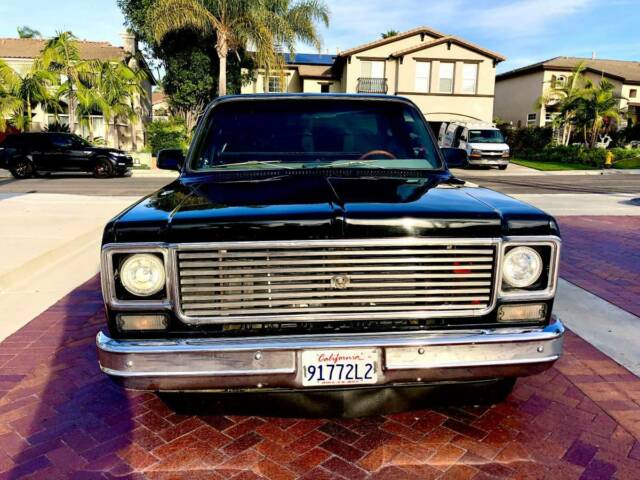 Chevrolet C-10 1975 image number 10