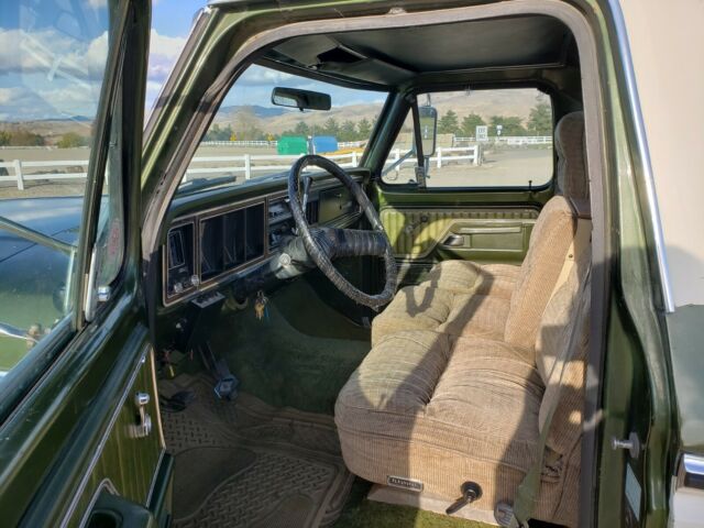 Ford F-250 1976 image number 20