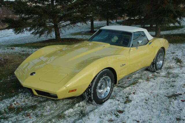 Chevrolet Corvette 1974 image number 13