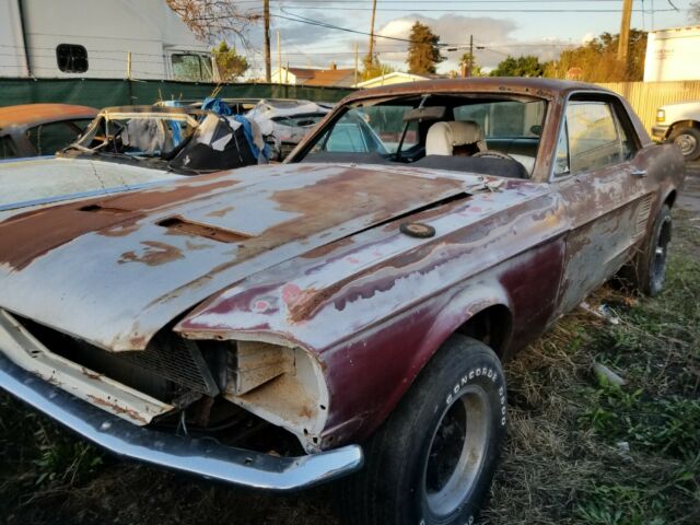 Ford Mustang 1967 image number 3