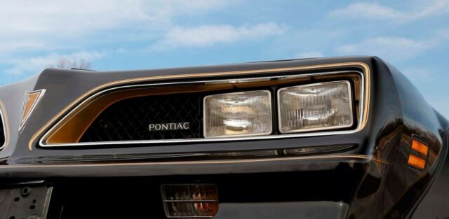 Pontiac Trans Am 1978 image number 17