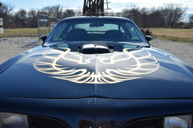 Pontiac Trans Am 1978 image number 13