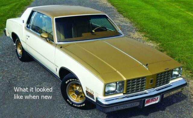 Oldsmobile Cutlass 1979 image number 1