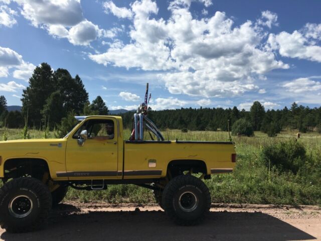 Chevrolet C-10 1979 image number 16