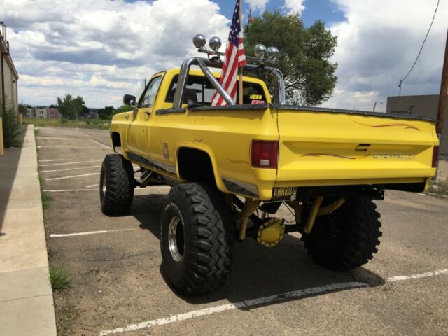 Chevrolet C-10 1979 image number 30