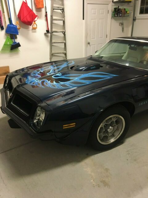 Pontiac Firebird 1975 image number 0