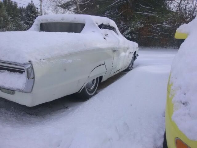 Ford Thunderbird 1964 image number 14