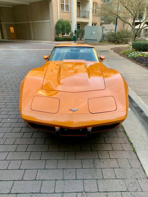 Chevrolet Corvette 1977 image number 10