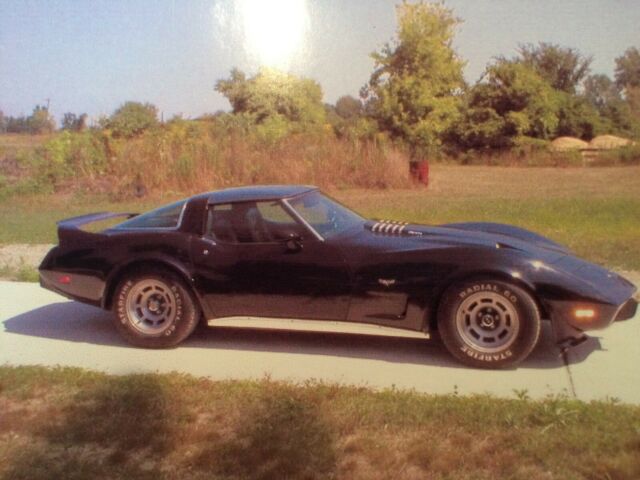 Chevrolet Corvette 1979 image number 0