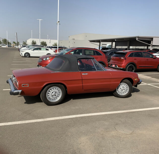 Alfa Romeo Spider 1974 image number 2