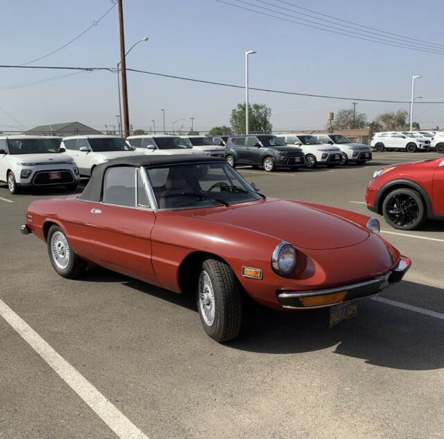 Alfa Romeo Spider 1974 image number 5