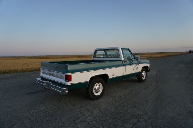 Chevrolet C-10 1978 image number 10