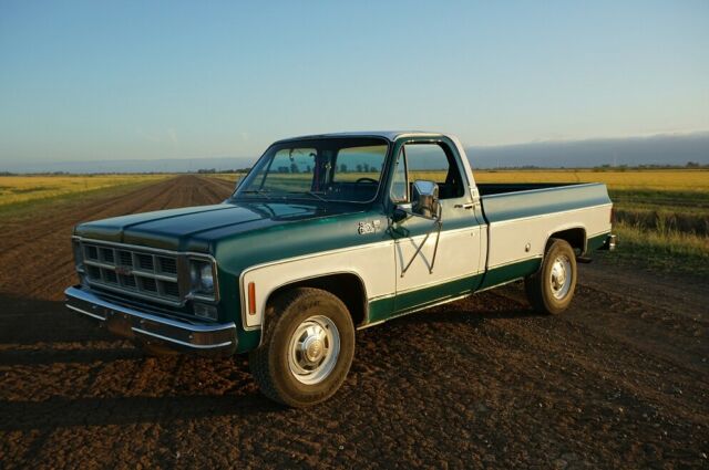 Chevrolet C-10 1978 image number 14