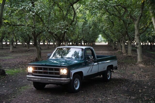 Chevrolet C-10 1978 image number 16