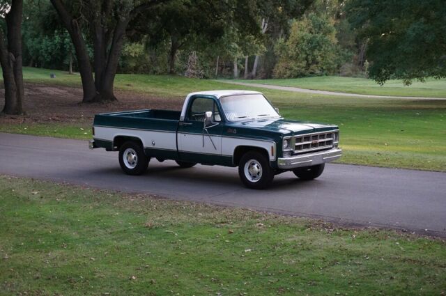 Chevrolet C-10 1978 image number 20