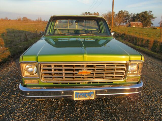 Chevrolet C-10 1976 image number 17