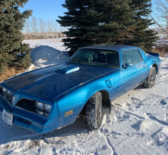 Pontiac Trans Am 1977 image number 17