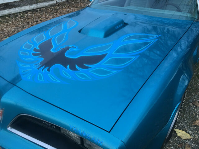 Pontiac Trans Am 1978 image number 33