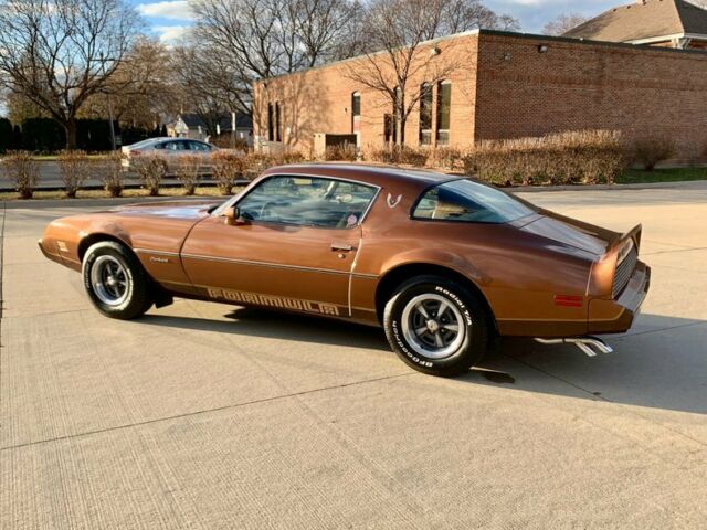 Pontiac Firebird 1979 image number 8