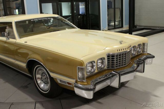 Ford Thunderbird 1976 image number 9