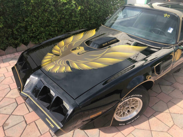 Pontiac Trans Am 1979 image number 19