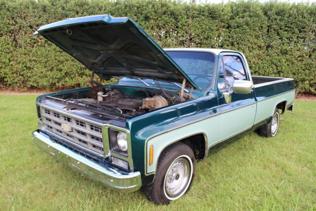 Chevrolet C-10 1979 image number 19