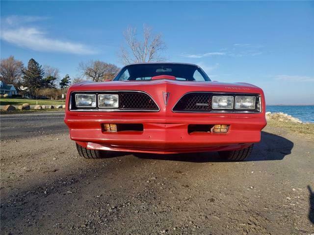 Pontiac Trans Am 1978 image number 13